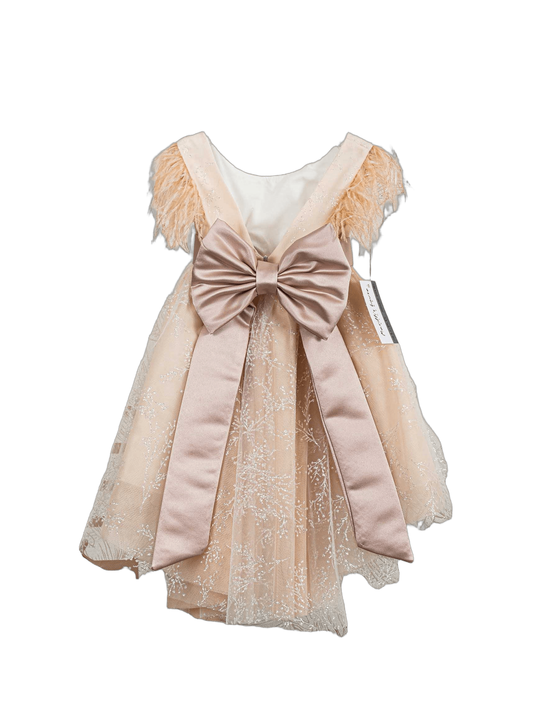 Βαπτιστικό Φόρεμα Πούπουλα Glitter - Σομόν - 2